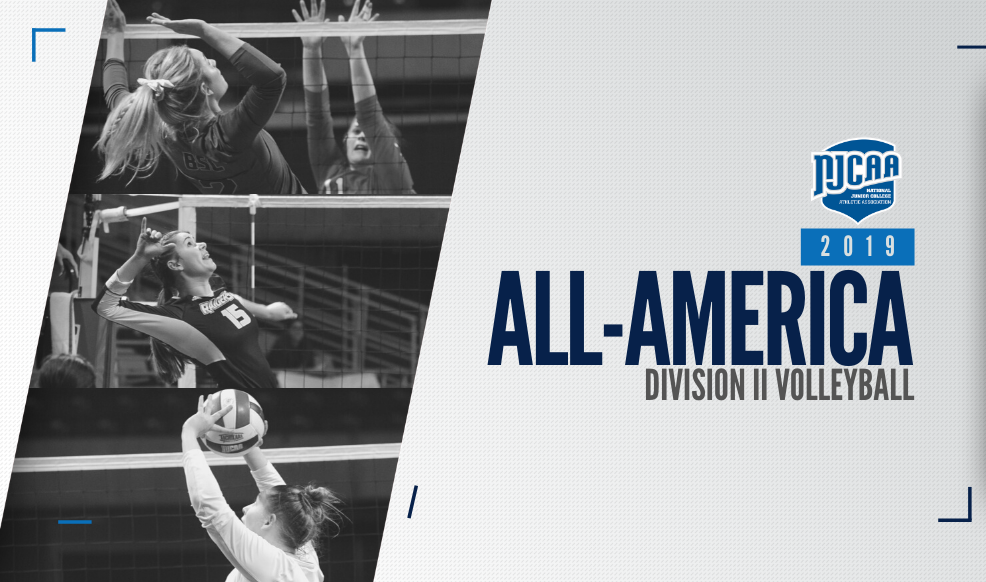 DII Volleyball All-Americans recognized