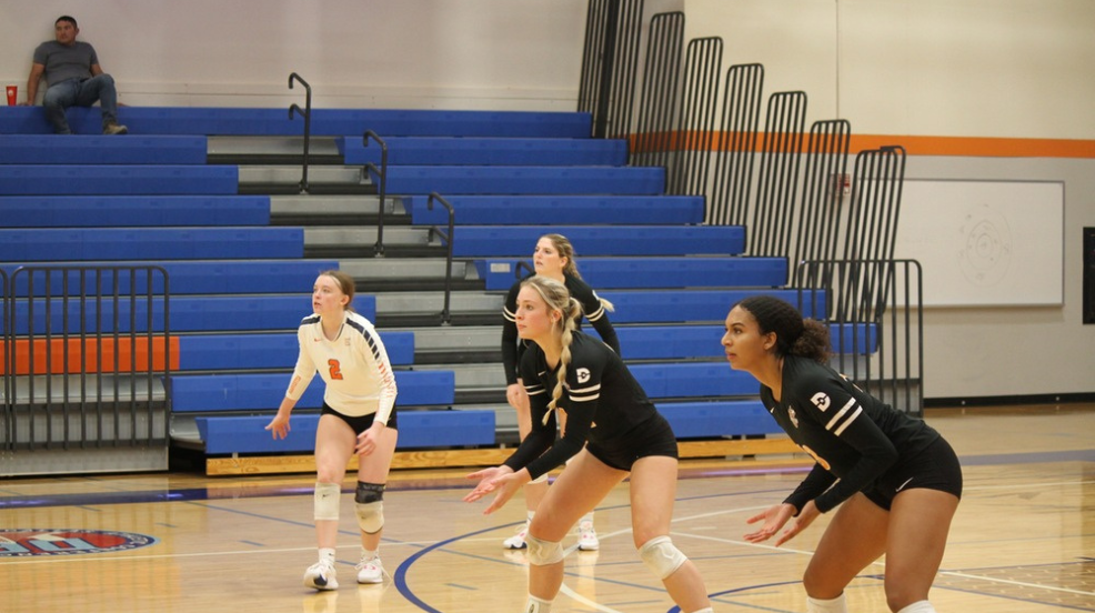 Harvester Bees sit at No. 2 in DIII Volleyball Rankings