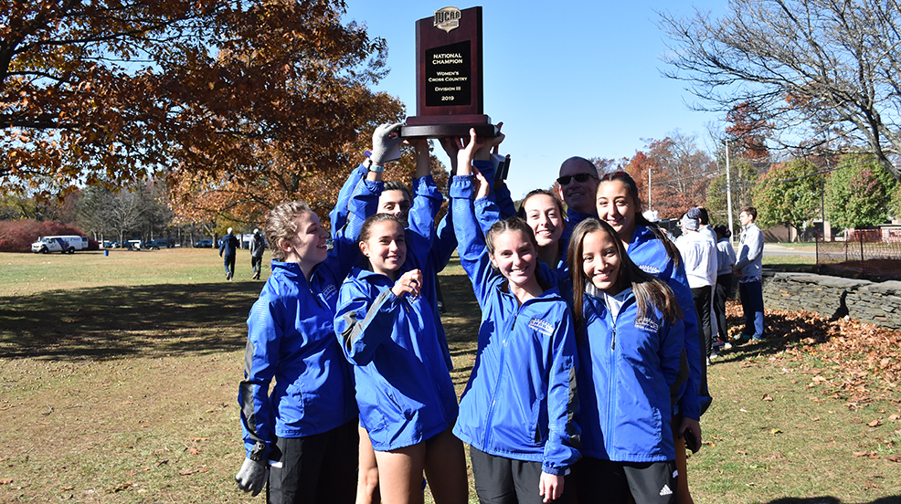 Sharks return to national prominence with DIII title